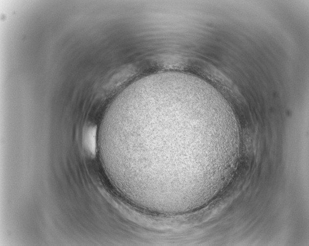 X0000087750028200705141301