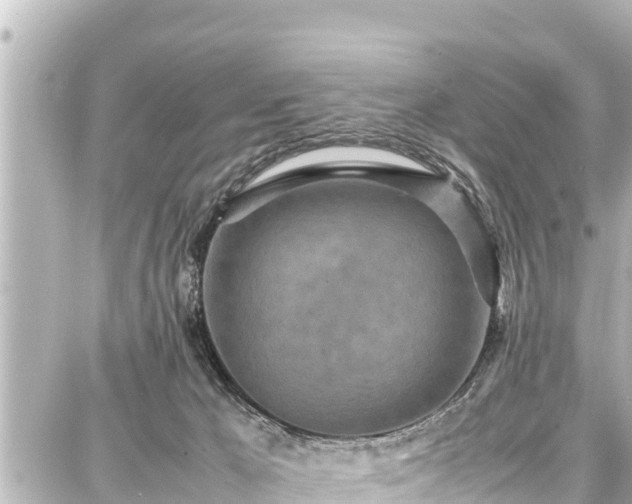 X0000087750029200705141301