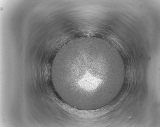 X0000087750030200705141301