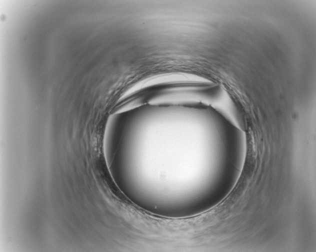 X0000087750031200705141301