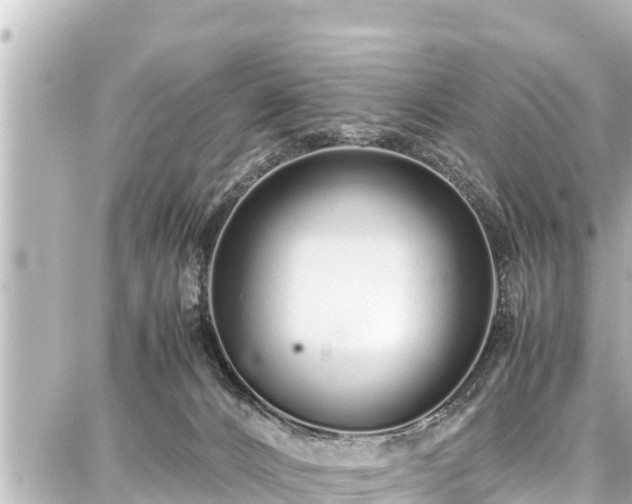 X0000087750032200705141301