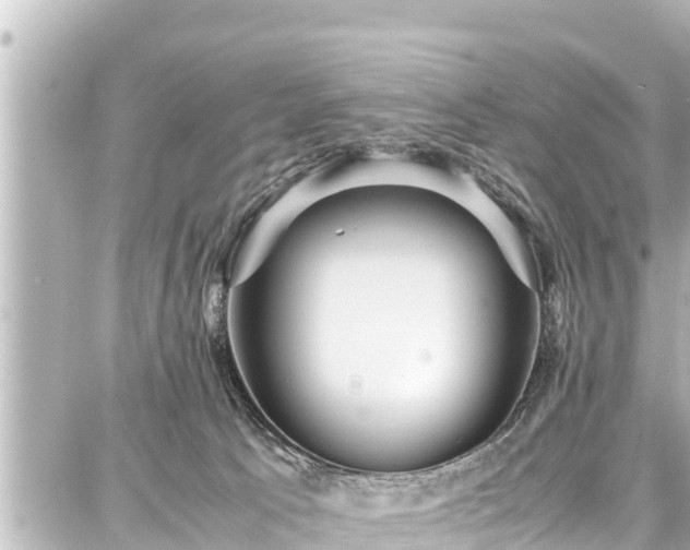 X0000087750033200705141301