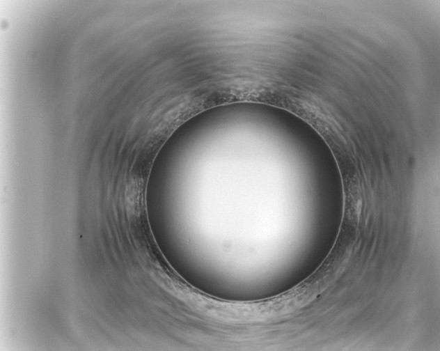 X0000087750034200705141301