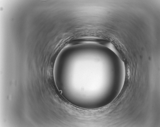 X0000087750035200705141301