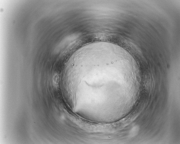 X0000087750036200705141301