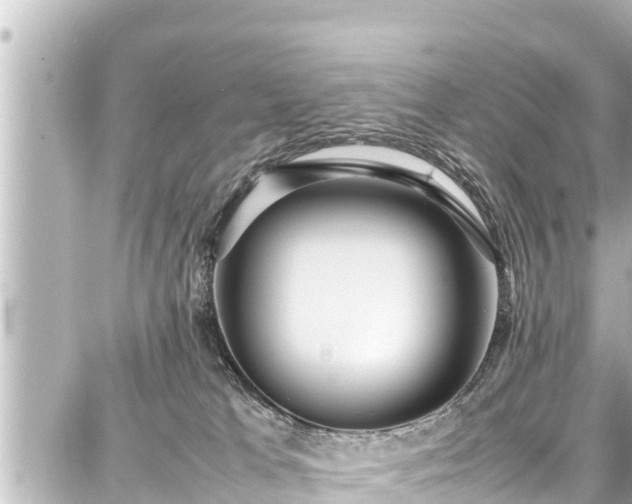 X0000087750037200705141301