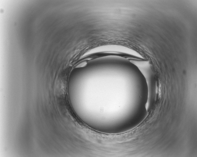 X0000087750039200705141301