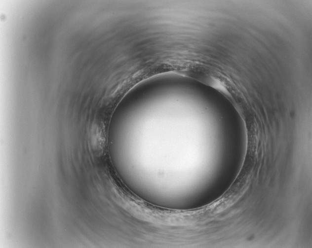 X0000087750040200705141301