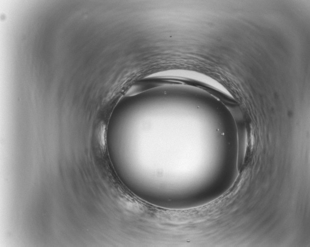 X0000087750041200705141301