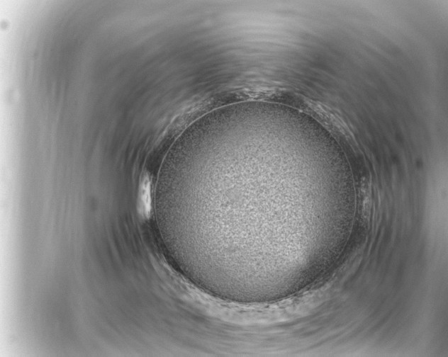 X0000087750042200705141301