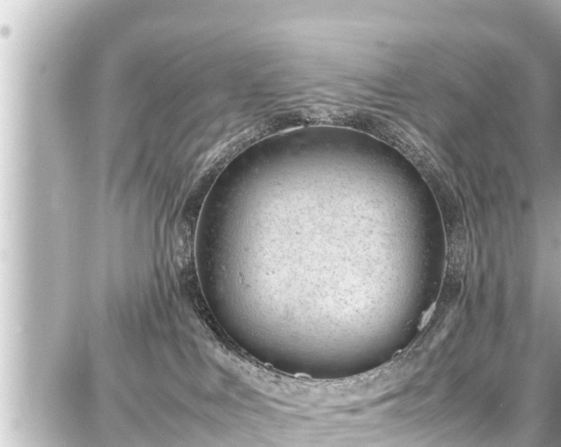 X0000087750043200705141301