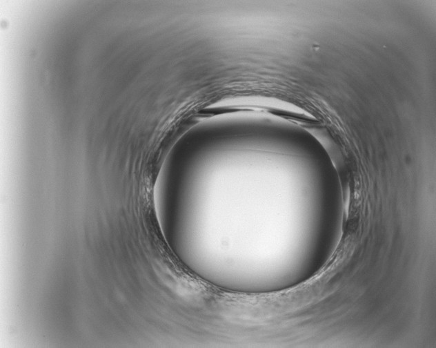 X0000087750045200705141301