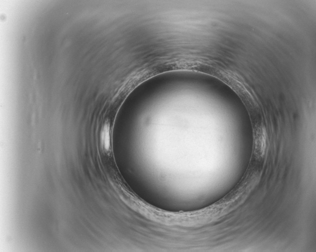 X0000087750046200705141301