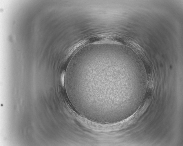 X0000087750047200705141301