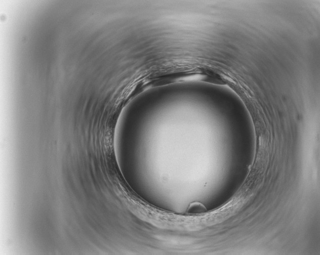 X0000087750048200705141301