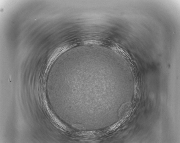 X0000087750049200705141300