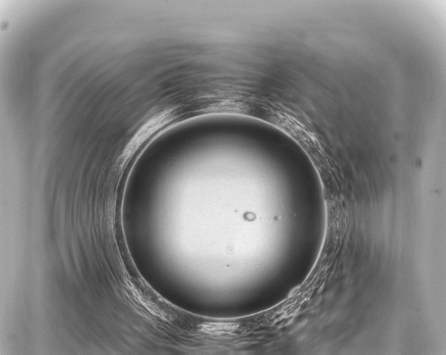 X0000087750051200705141300