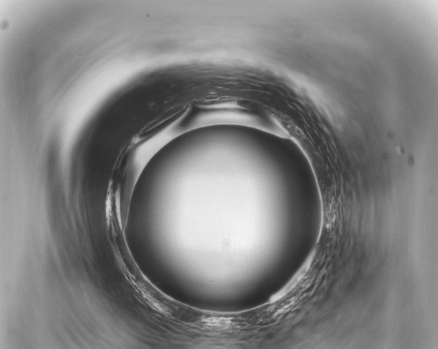 X0000087750052200705141300