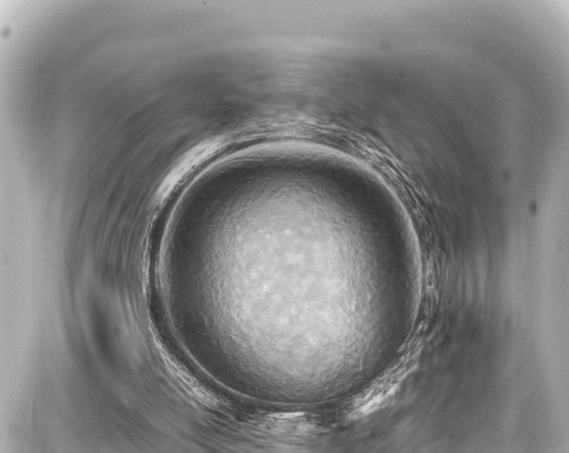 X0000087750054200705141300