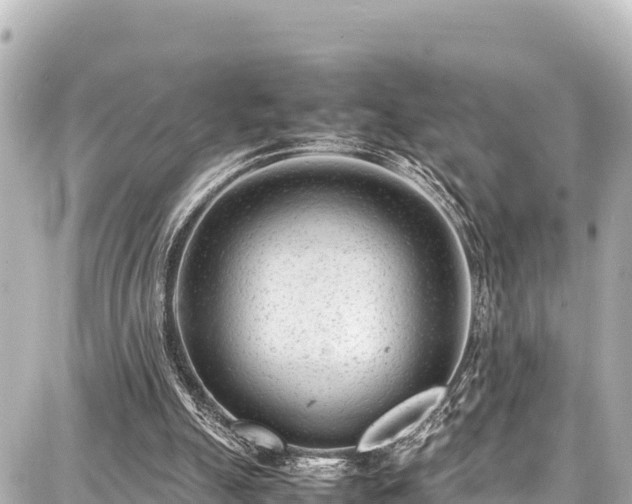 X0000087750055200705141300