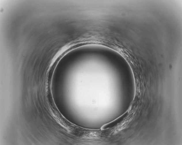 X0000087750056200705141300