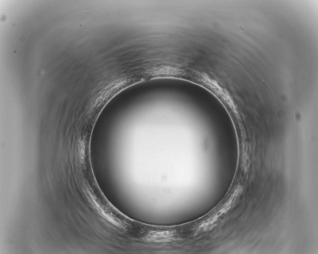 X0000087750057200705141300