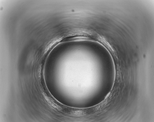 X0000087750058200705141300