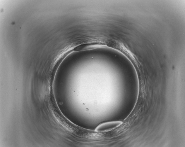 X0000087750059200705141300