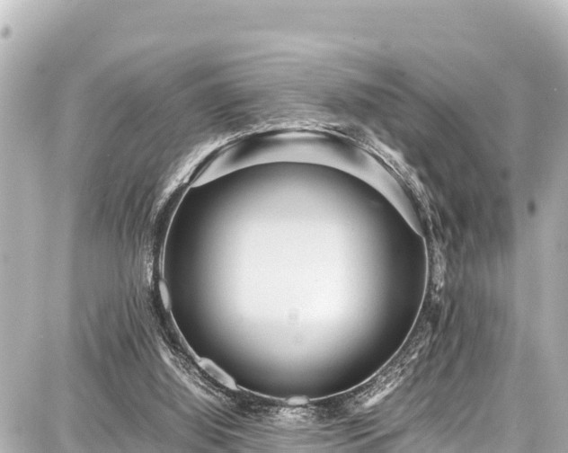 X0000087750060200705141300