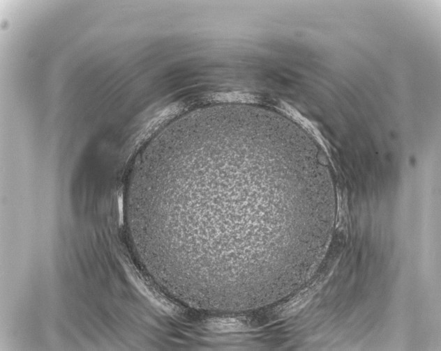 X0000087750061200705141300