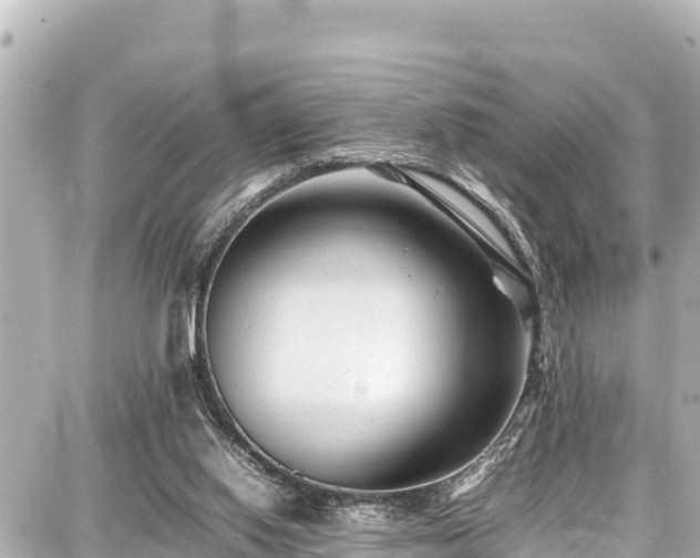 X0000087750062200705141300