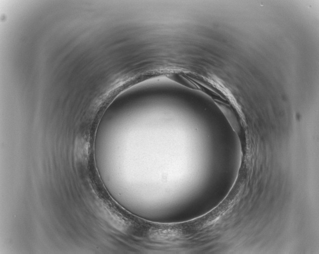 X0000087750063200705141300