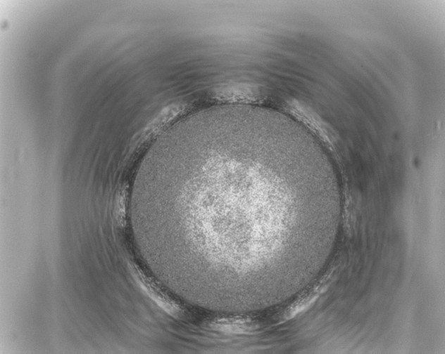 X0000087750065200705141300