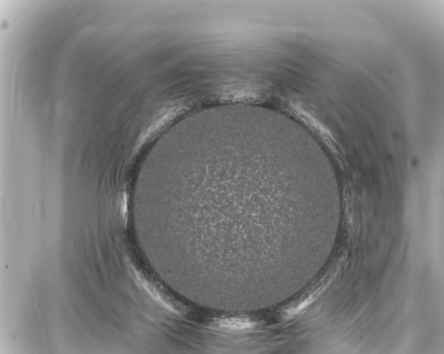 X0000087750067200705141300