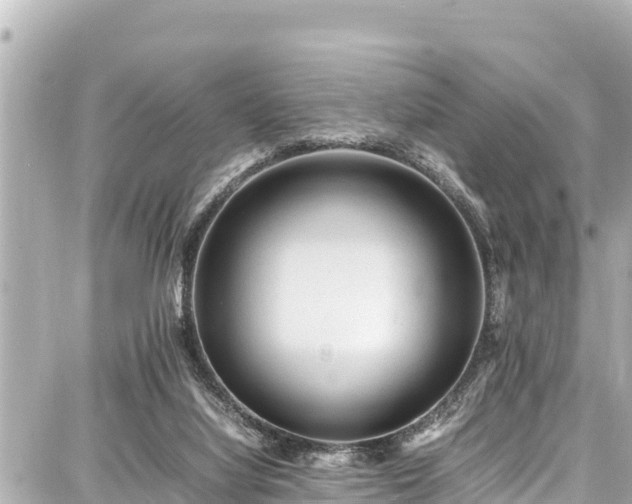 X0000087750068200705141300