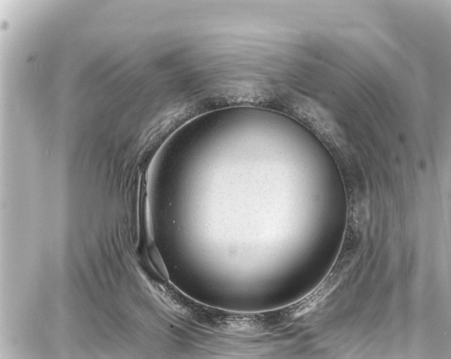 X0000087750070200705141300