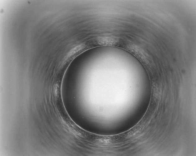 X0000087750071200705141300