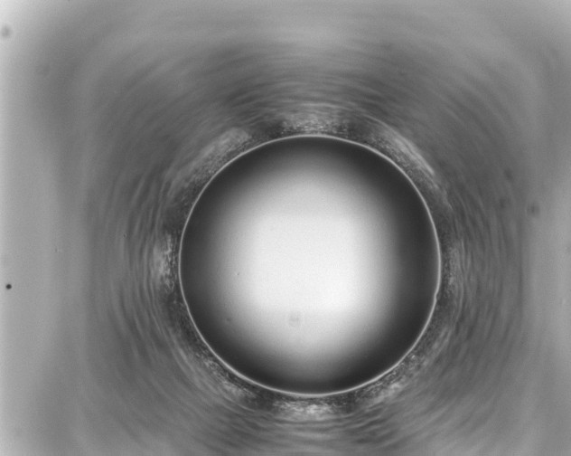 X0000087750073200705141300