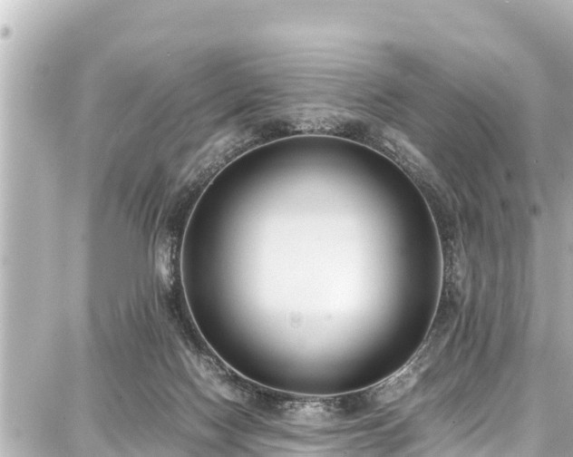 X0000087750074200705141300