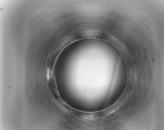 X0000087750075200705141300