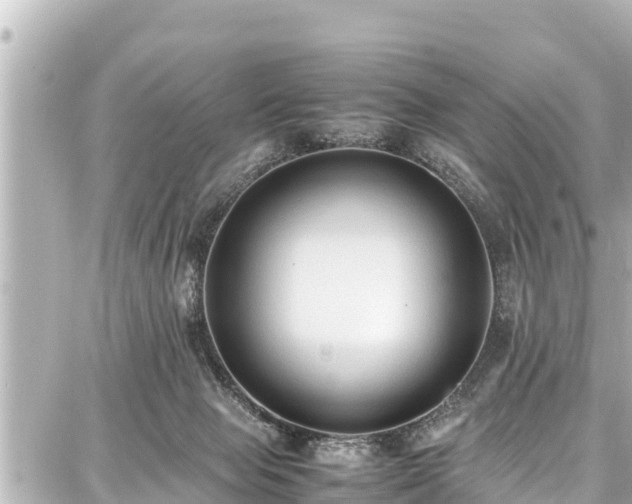 X0000087750077200705141300