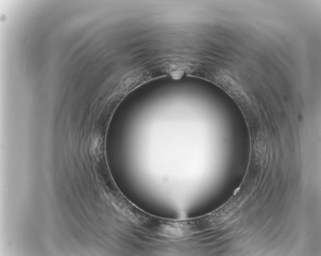 X0000087750079200705141300