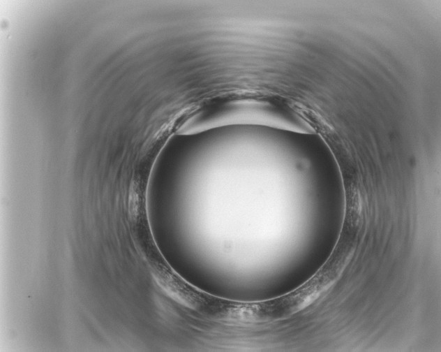 X0000087750080200705141300