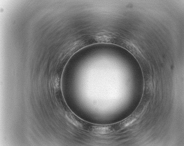 X0000087750081200705141300