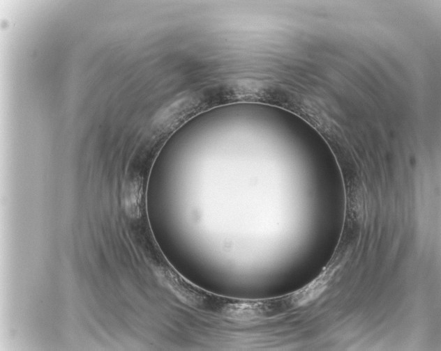 X0000087750082200705141300