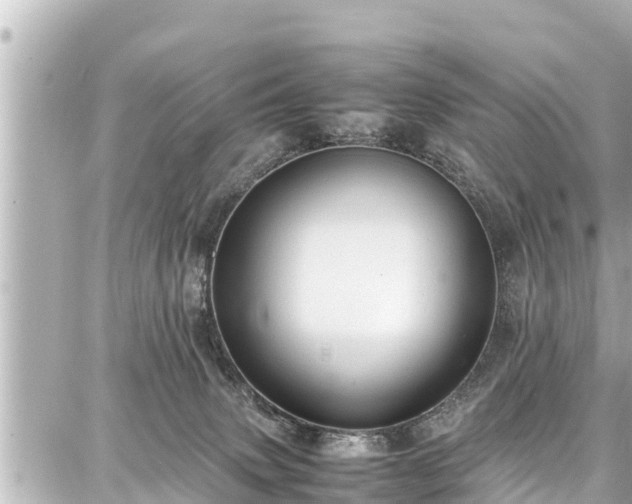 X0000087750083200705141300