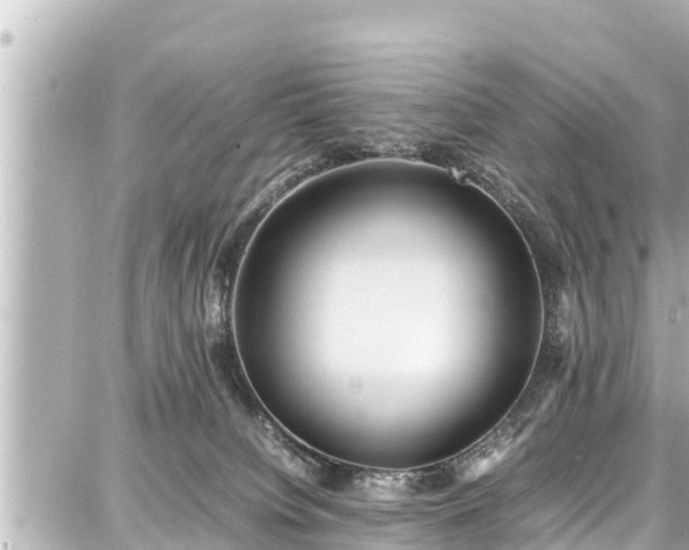 X0000087750084200705141300