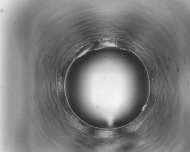 X0000087750085200705141300