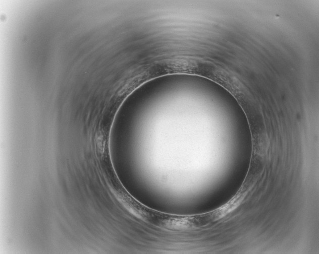 X0000087750086200705141300