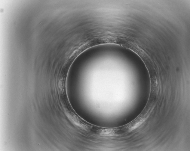 X0000087750088200705141300